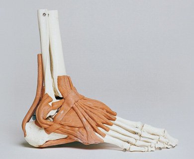 Podologie Annelies Six Klachten